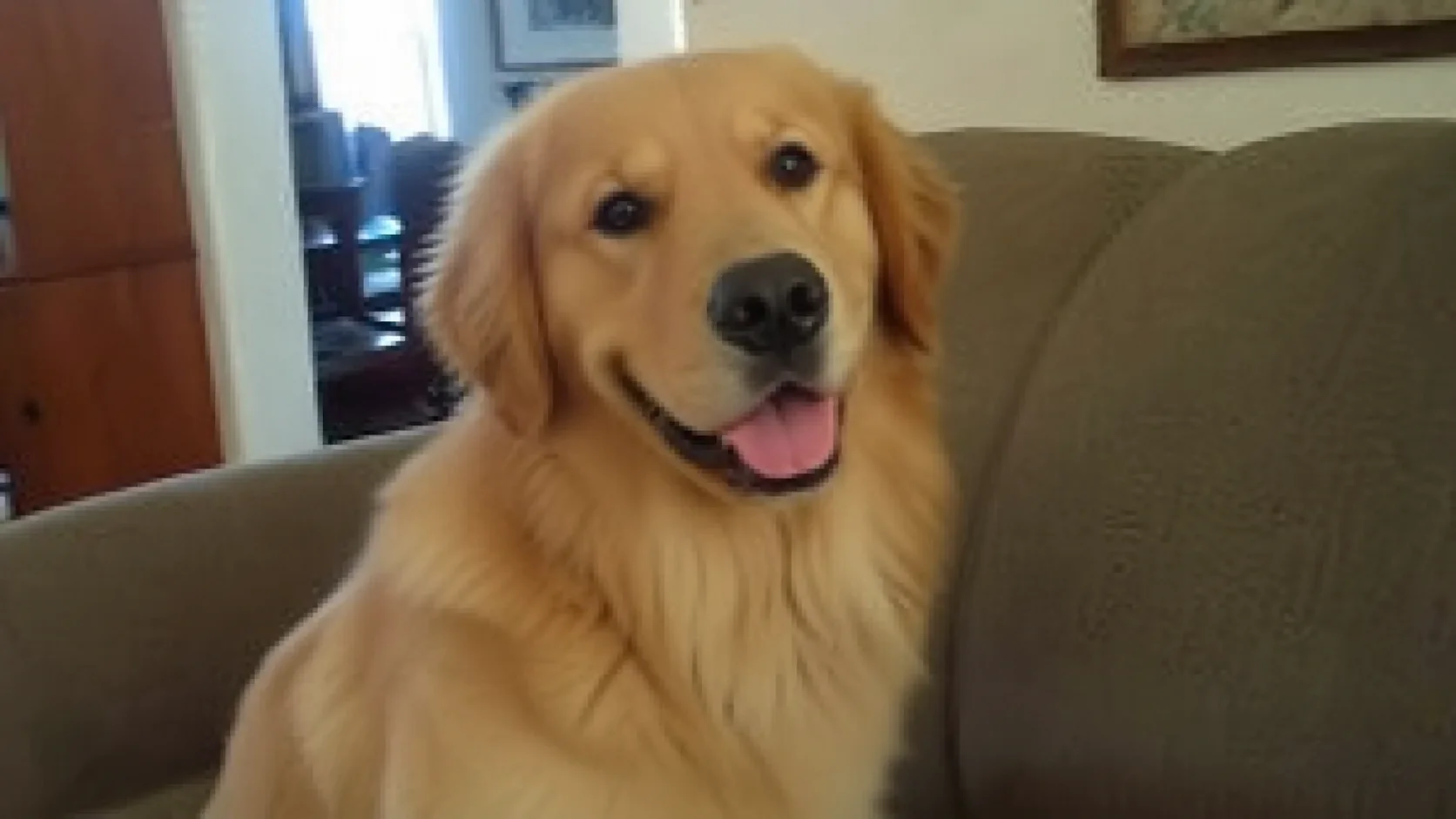 Low-resolution portrait before upscale enhancement